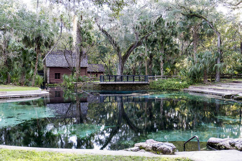 Ocala National Forest, Florida