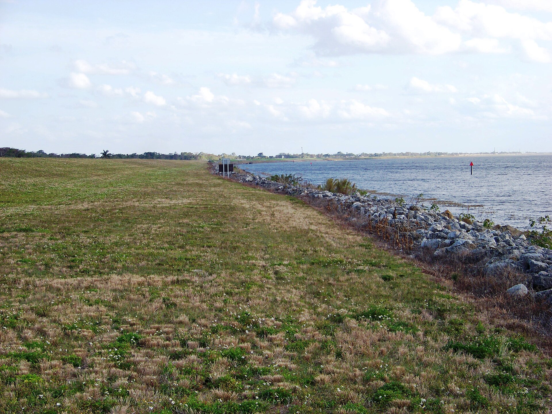 Grassy shore of Lake Okeechobee